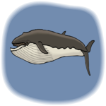 Whale - Finback Clip Art