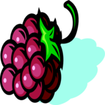 Raspberry 1 Clip Art