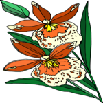 Flower 453 Clip Art
