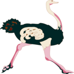 Ostrich 03 Clip Art