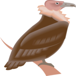 Vulture 2 Clip Art