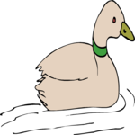 Duck 15 Clip Art