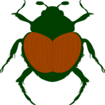 Beetle 07 Clip Art
