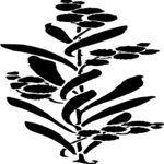 Plant - Silhouette 2 Clip Art