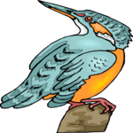 Kingfisher 06 Clip Art