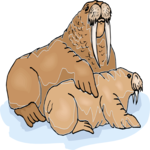 Walrus & Pup Clip Art
