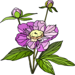 Flower 487 Clip Art