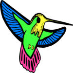 Hummingbird 16 Clip Art