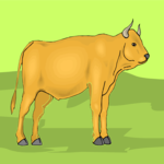 Bull 14 Clip Art
