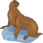 Seal 24 Clip Art