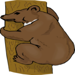 Bear in Tree 1 Clip Art