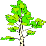 Tree 190