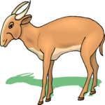 Antelope - Pygmy 2 Clip Art