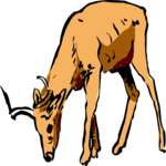 Antelope 14 Clip Art