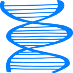 Biology - DNA Strand 2 Clip Art
