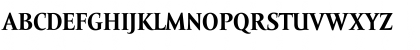 Amor Serif Text Pro Bold Font