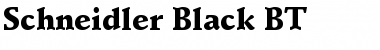 Download Schneidler Blk BT Font Download Schneidler Blk BT Font