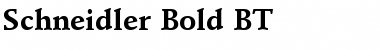 Download Schneidler BT Font Download Schneidler BT Font