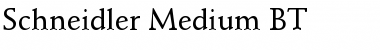 Download Schneidler Md BT Font Download Schneidler Md BT Font