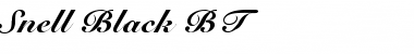 Download Snell Blk BT Font Download Snell Blk BT Font