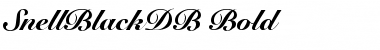 Download SnellBlackDB Font Download SnellBlackDB Font