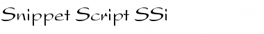Download Snippet Script SSi Font Download Snippet Script SSi Font