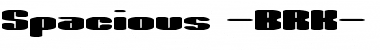 Download Spacious (BRK) Font Download Spacious (BRK) Font