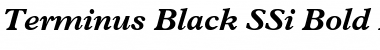 Download Terminus Black SSi Font Download Terminus Black SSi Font