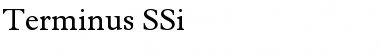 Download Terminus SSi Font Download Terminus SSi Font