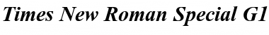 Times New Roman Special G1 Bold Italic Font