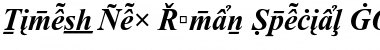Times New Roman Special G2 Bold Italic Font