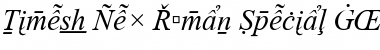 Times New Roman Special G2 Italic Font
