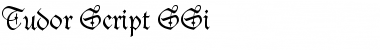 Download Tudor Script SSi Font Download Tudor Script SSi Font