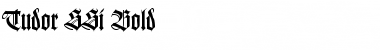 Download Tudor SSi Font Download Tudor SSi Font