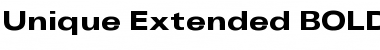 Download Unique Extended Font Download Unique Extended Font