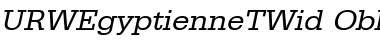 Download URWEgyptienneTWid Font Download URWEgyptienneTWid Font