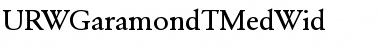 Download URWGaramondTMedWid Font Download URWGaramondTMedWid Font