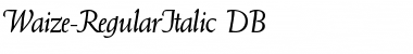 Download Waize DB Font Download Waize DB Font