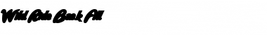 Download Wild Ride Back Fill Font Download Wild Ride Back Fill Font
