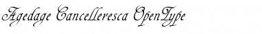 Download Agedage Cancelleresca Font Download Agedage Cancelleresca Font