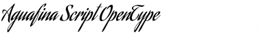Download Aguafina Script Font Download Aguafina Script Font
