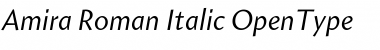 Amira Roman Italic Font