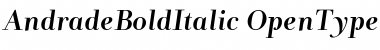 Download AndradeBoldItalic Font Download AndradeBoldItalic Font