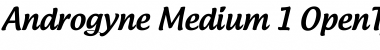 Download Androgyne Font Download Androgyne Font