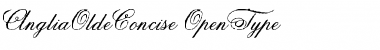 Download AngliaOldeConcise Font Download AngliaOldeConcise Font