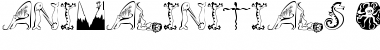 Download Animal Initials Font Download Animal Initials Font