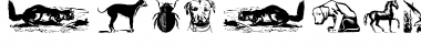 Download AnimalsOldfashion Font Download AnimalsOldfashion Font