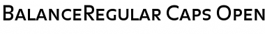 Download BalanceRegular Font Download BalanceRegular Font