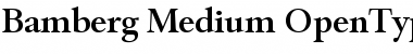 Download Bamberg-Medium Font Download Bamberg-Medium Font