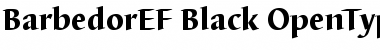 Download BarbedorEF-Black Font Download BarbedorEF-Black Font